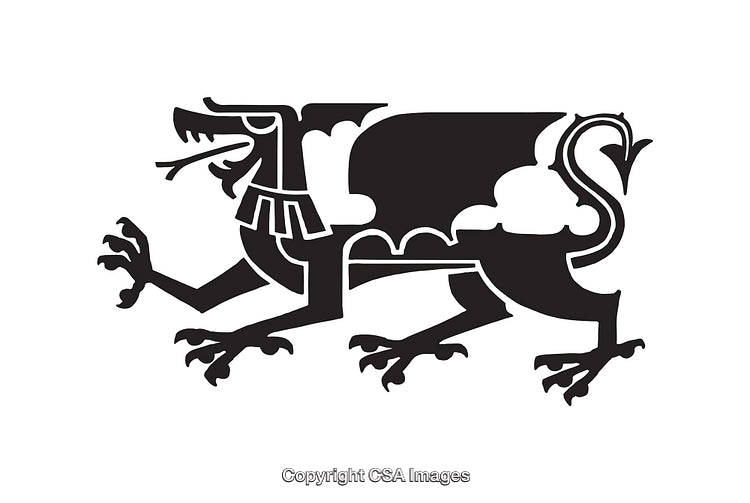 Black and White Line Art of a Mythical Dragon Illustration