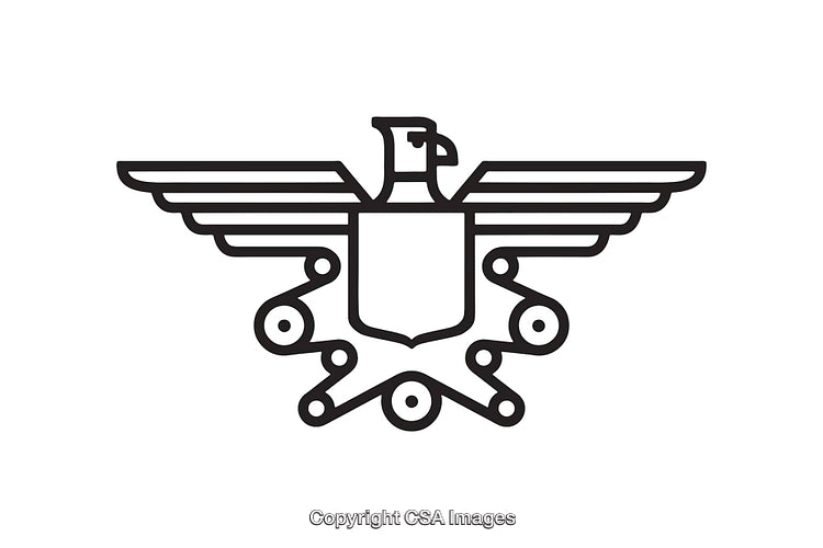 Minimalist Black and White Line Art Eagle Logo Design