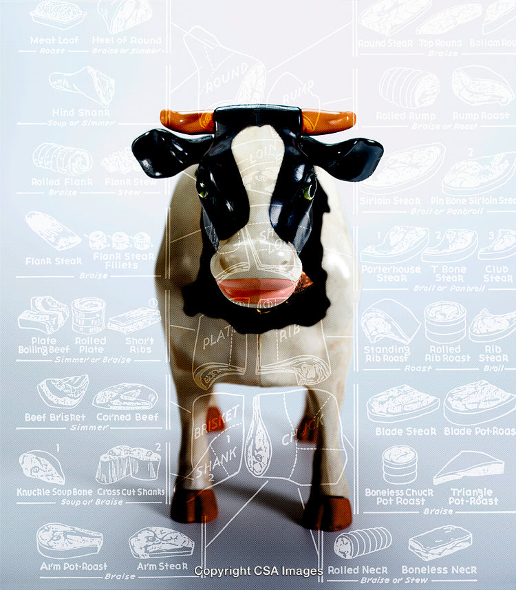 Plastic Cow Figurine Overlaid With Beef Cuts Diagram on a Light Background