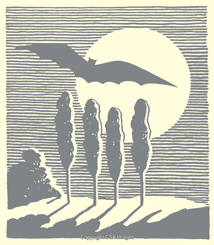 Silhouetted Bat Flying Over Cypress Trees With Full Moon and Hatching Art