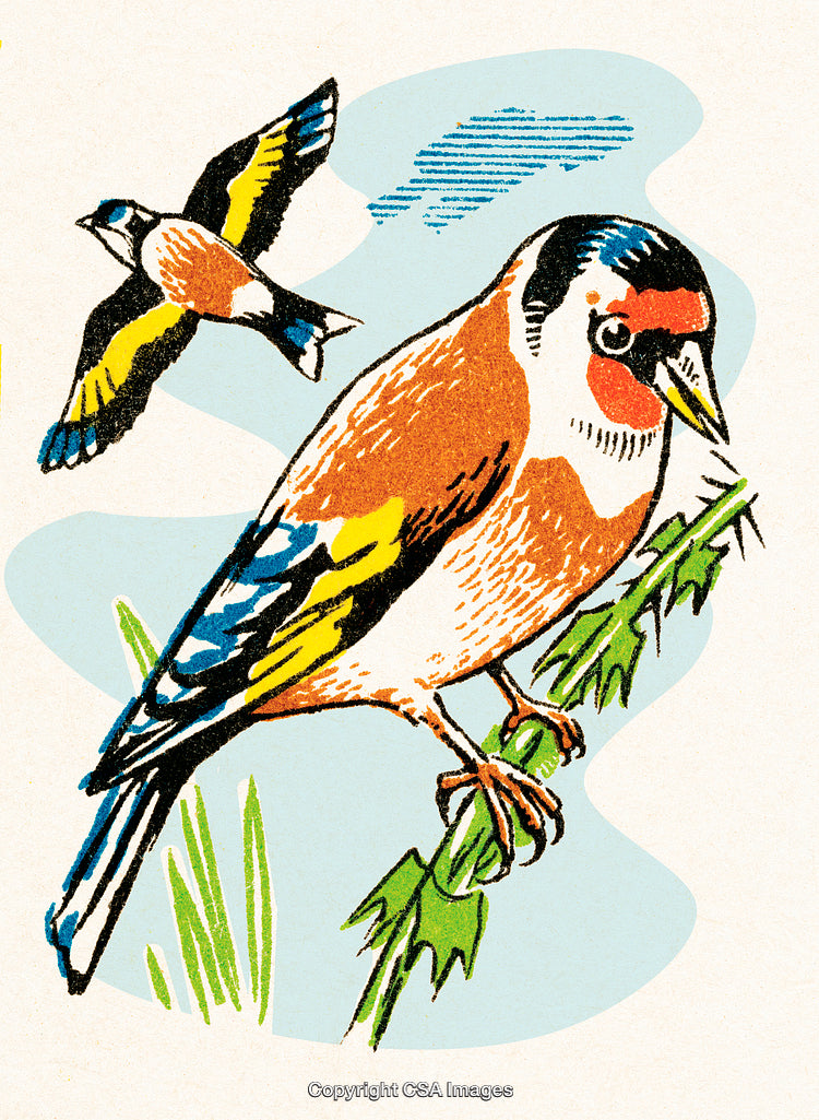 Colorful Illustrated Birds Perched on a Branch in a Nature Scene