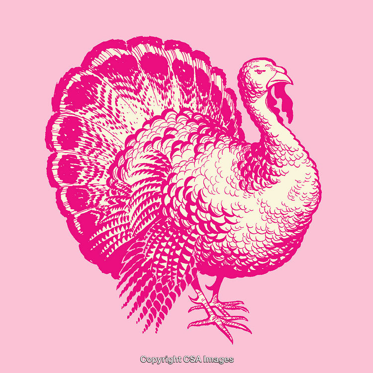 Vintage Detailed Illustration of a Turkey on a Pink Background