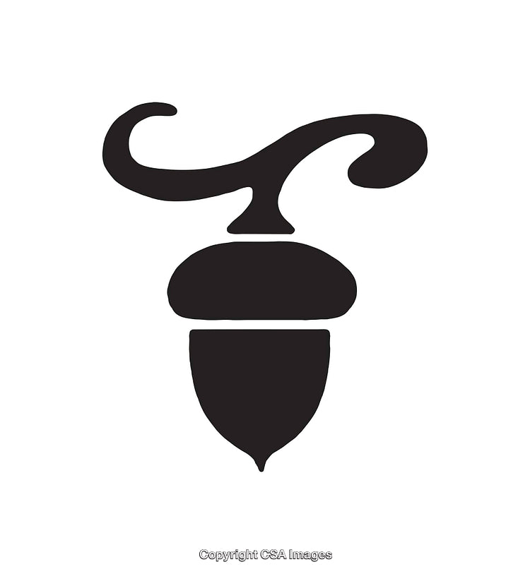 Black and White Abstract Acorn Silhouette Illustration with Curved Details