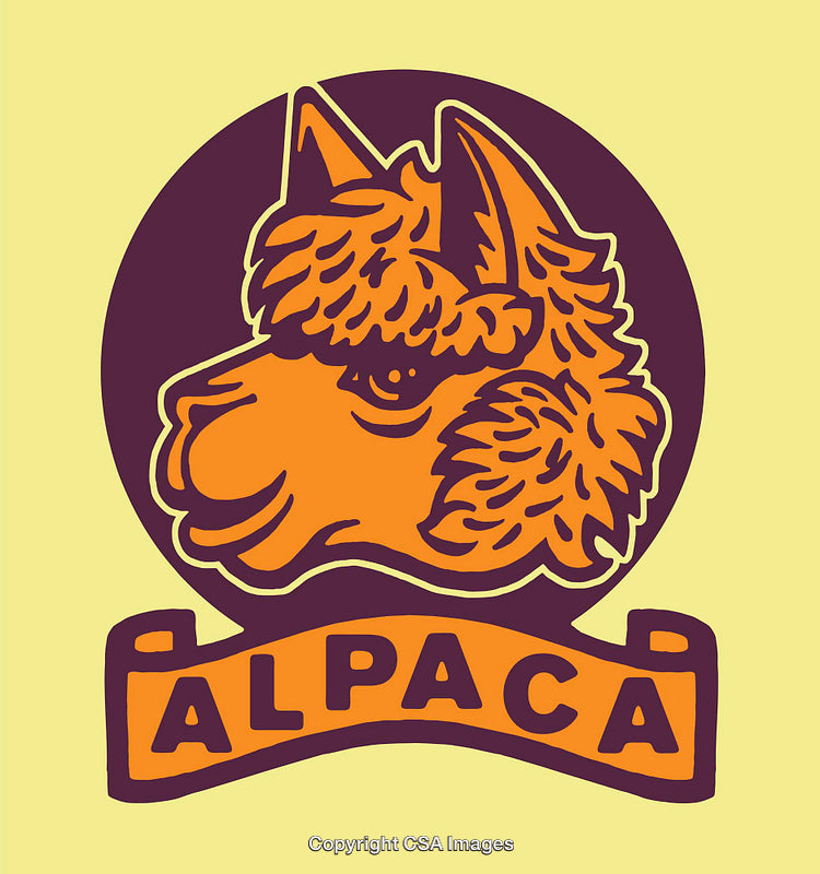 Colorful Line Art Illustration of an Orange Alpaca With a Circular Border