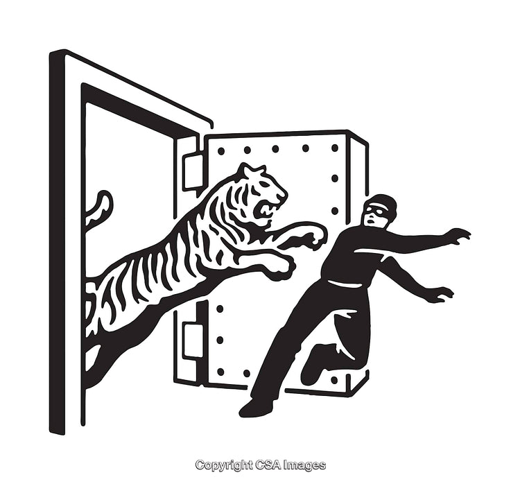 Dramatic Scene of Tiger Leaping at Guard in Monochrome Art