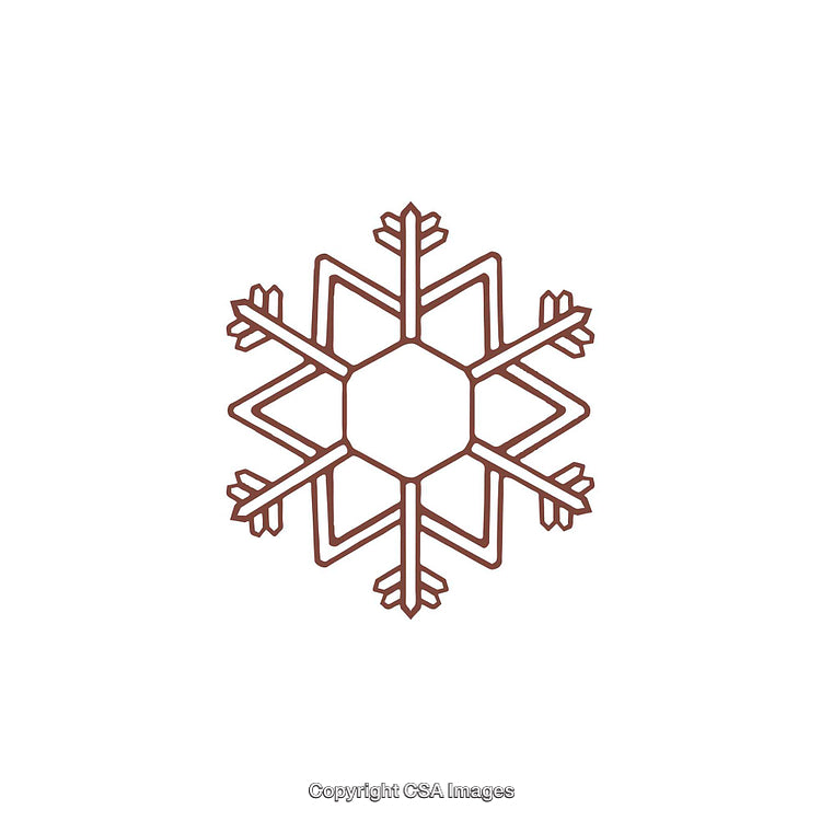 Stylized Snowflake Dingbat With Intricate Geometric Design