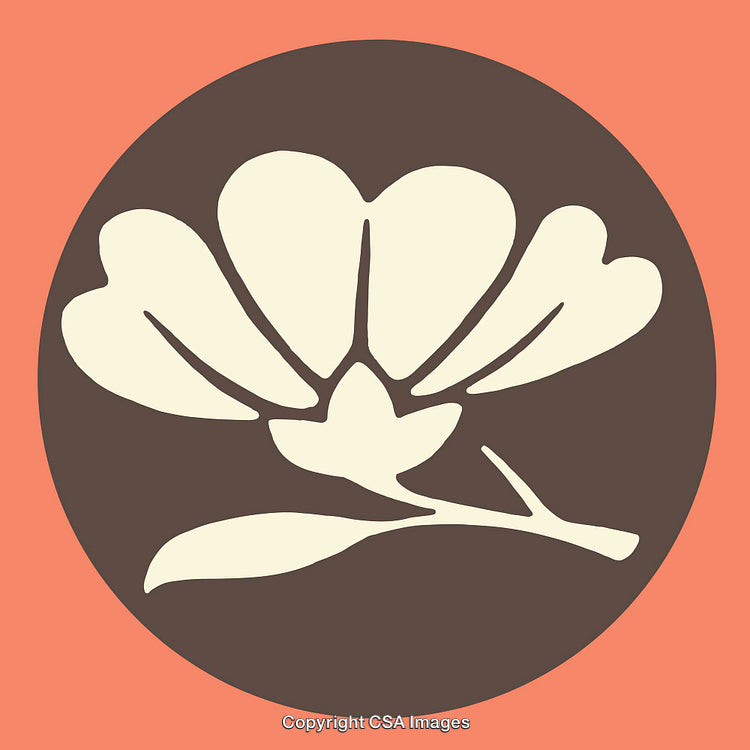 Floral Design Illustration with Bold Colors and Stylized Line Art