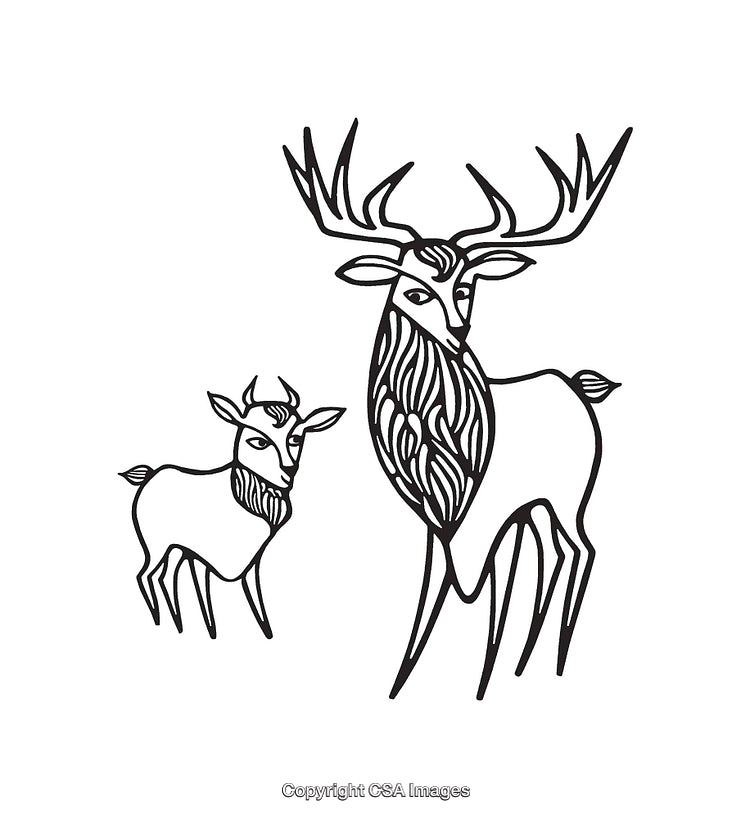 Intricate Black And White Line Art of Deer and Goat Illustrations