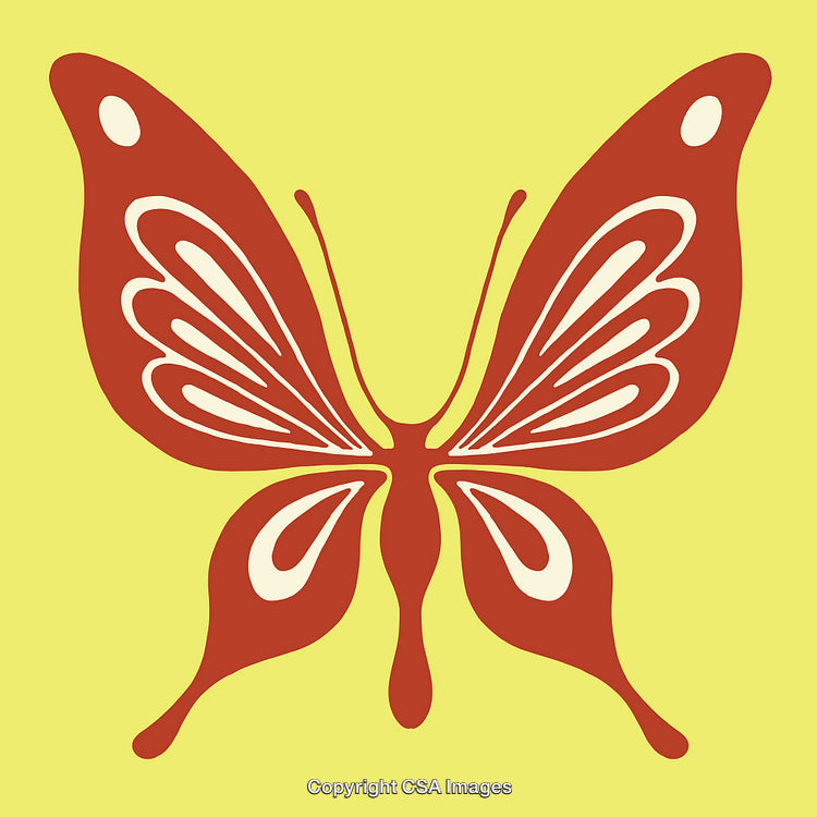 Colorful Abstract Butterfly Illustration With Symmetrical Design in Vibrant Tones