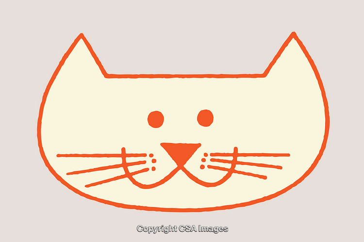 Minimalistic Line Art Illustration of a Cat Face in Warm Colors