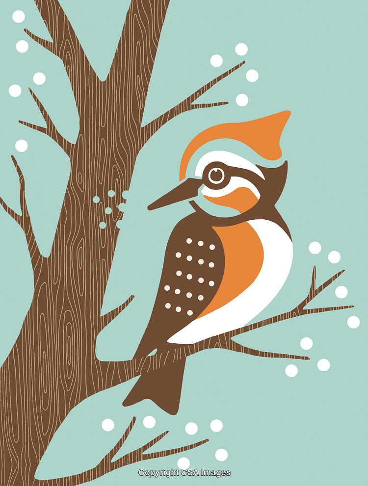 Stylized Artwork of a Woodpecker Bird on a Tree Branch in Winter