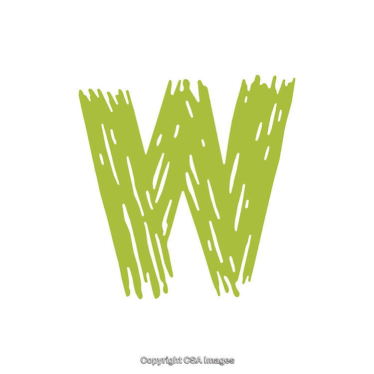 Green Artistic Letter W With Textured Brush Stroke Design