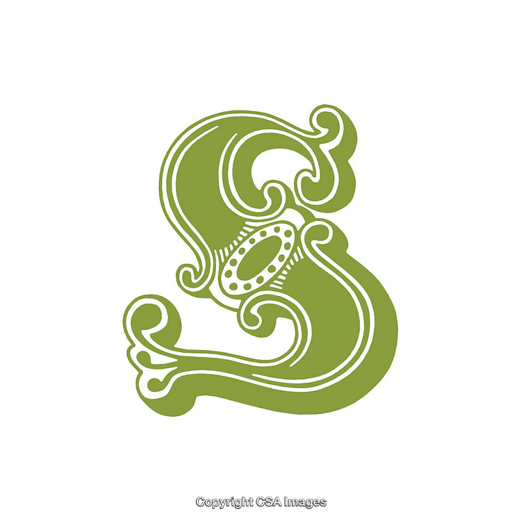 Decorative Typography Design Featuring the Letter S in Green Color