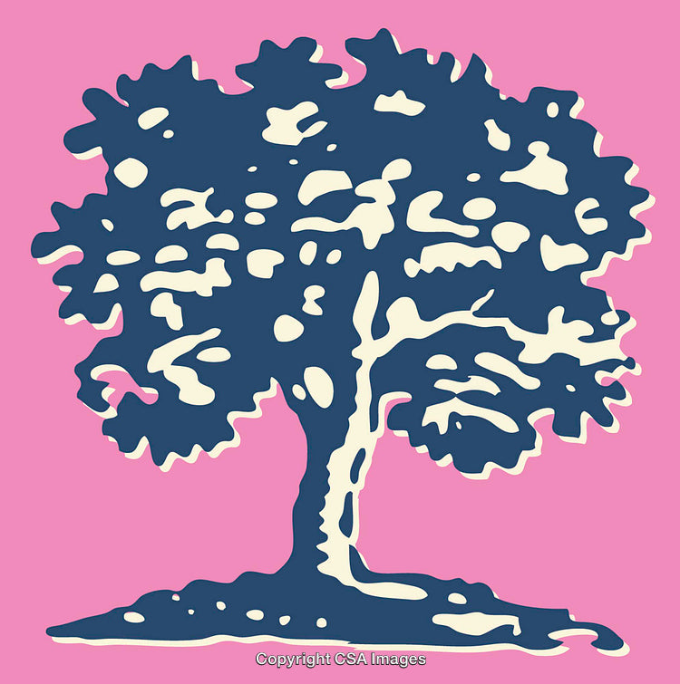 Bold Colorful Line Art Illustration of a Majestic Tree on Pink Background