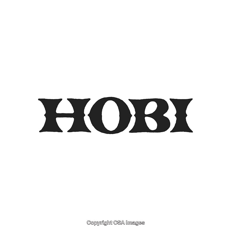 Stylized Black Typographic Logo Design Featuring the Word 'Hobi' on White Background