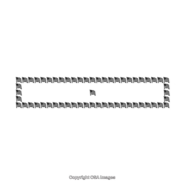 Black and White Flag Borders Framing a Central Flag Design