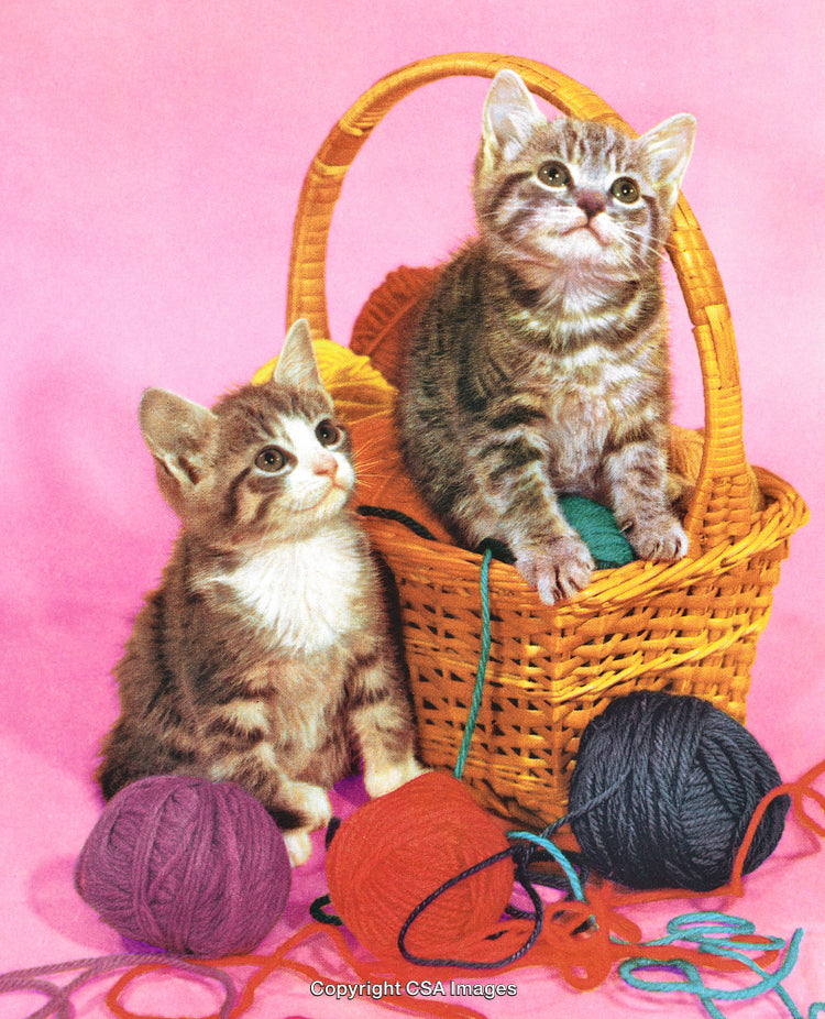 Adorable Kittens in a Basket Surrounded by Colorful Yarn Balls on Pink