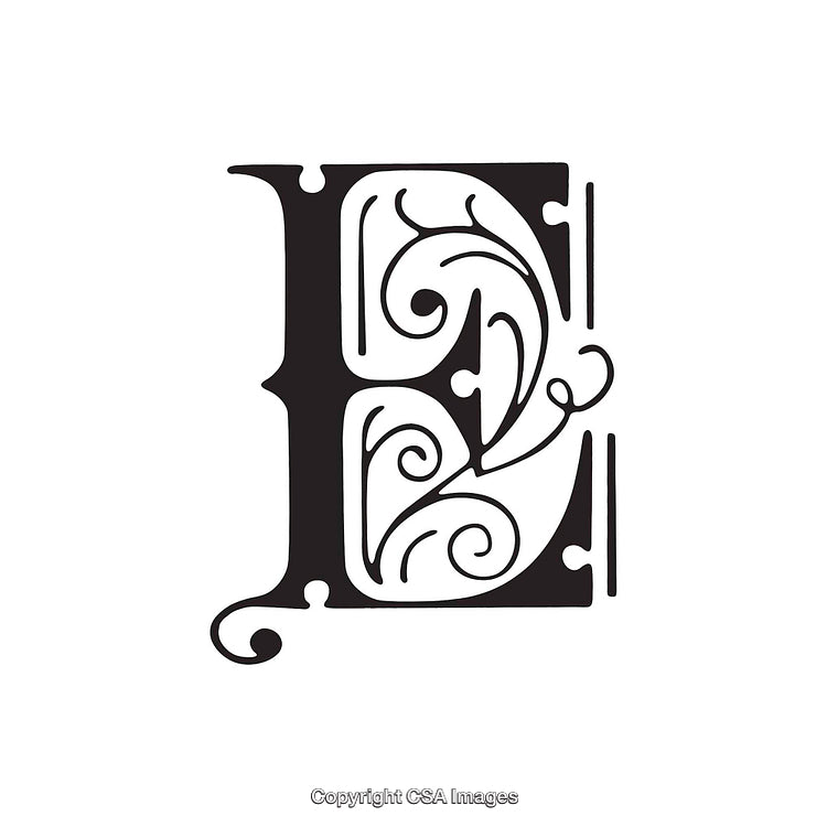 Elegant Decorative Letter E with Intricate Flourishes and Scrolls