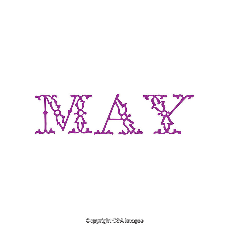 Decorative Purple 'May' Text Design on White Background