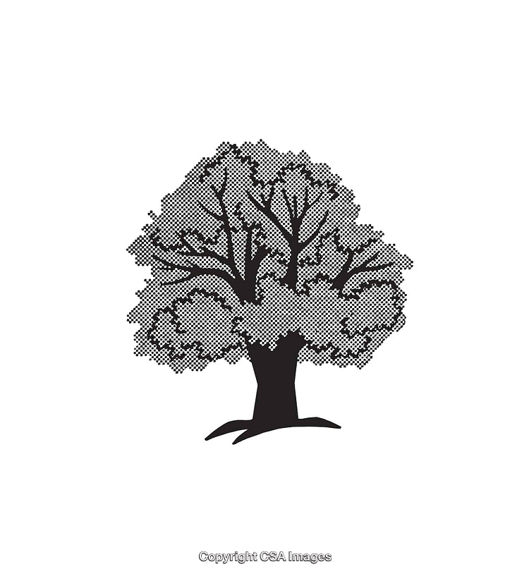 Black And White Graphic Illustration of a Tree With Intricate Details
