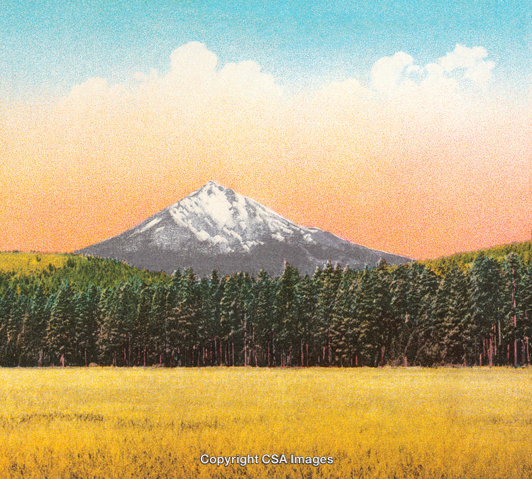 Majestic Snow-Capped Mountain Surrounded by Forest and Golden Meadow at Sunset
