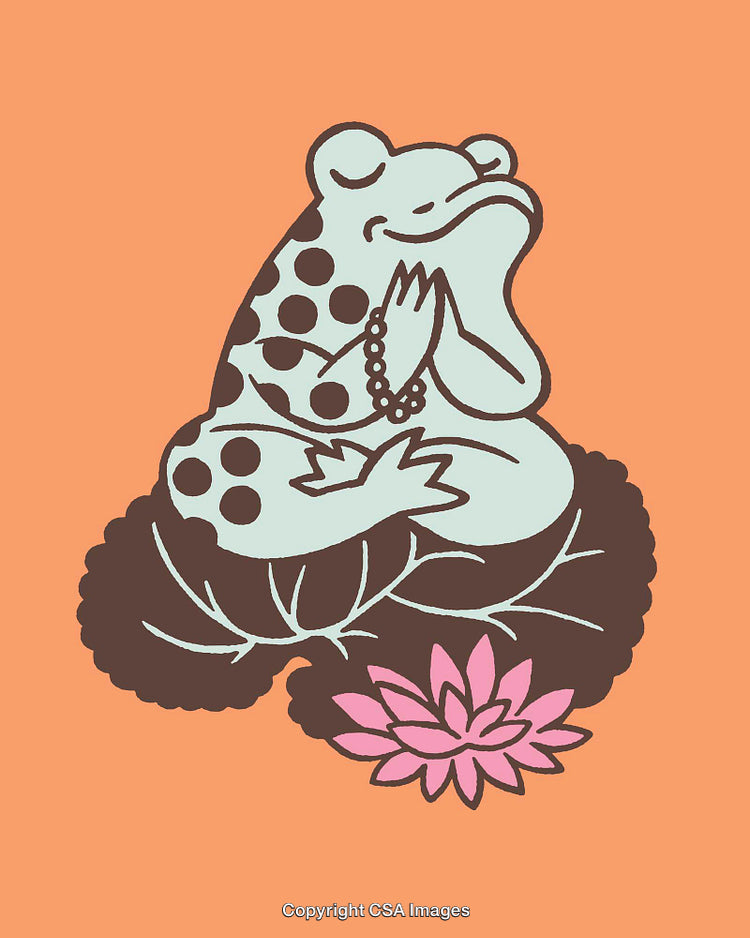 Meditative Frog Illustration with Bright Colors and Zen Symbolism