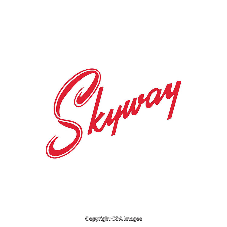 Classic Red Script Logo Featuring Skyway Text Design