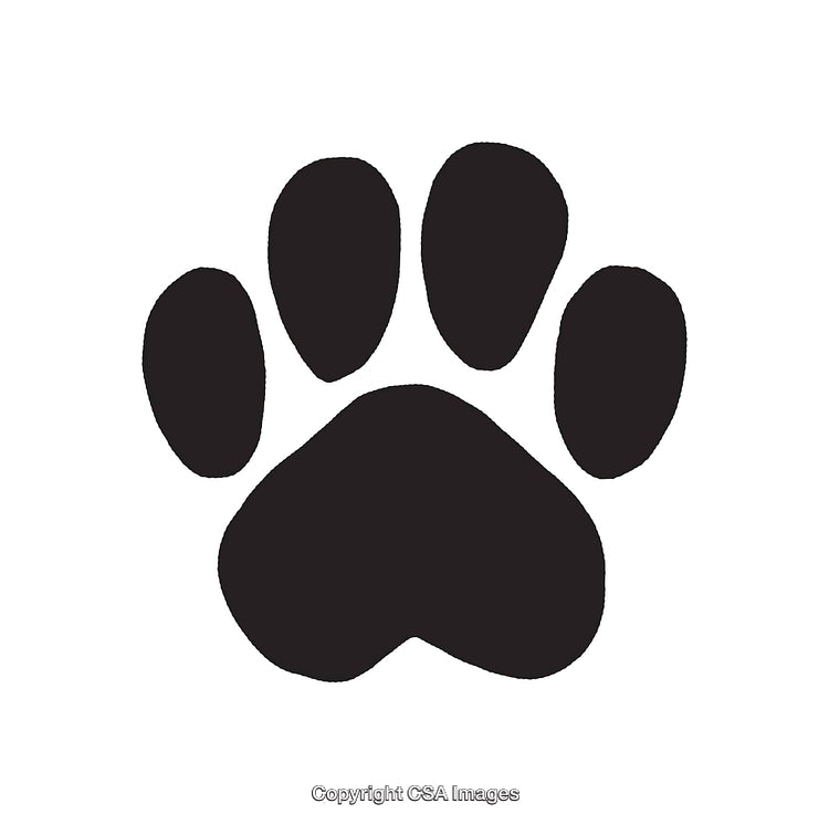 Black Paw Print Icon on White Background