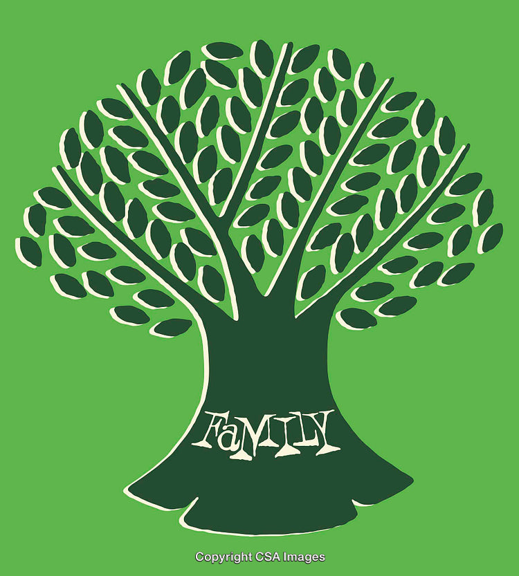 Family Tree Illustration Representing Connection and Growth on a Green Background