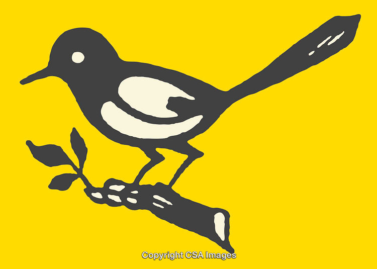 Stylized Line Art Bird Perched on a Branch in Yellow and Black