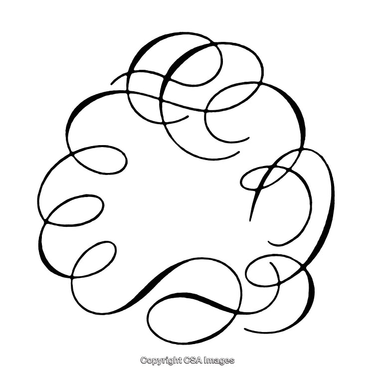 Elegant Circular Black and White Swirl Design with Artistic Borders