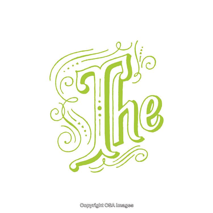 Elegant Decorative Typography of the Word 'The' in Artistic Design