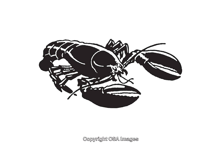 Black And White Line Art Illustration of a Lobster