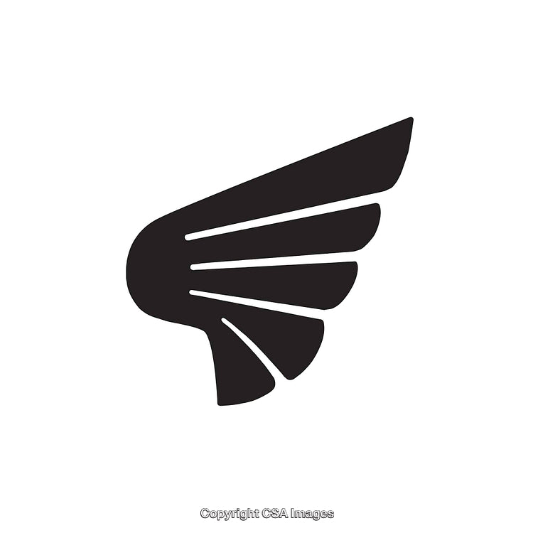 Black and White Stylized Wing Vector Illustration for Graphic Design