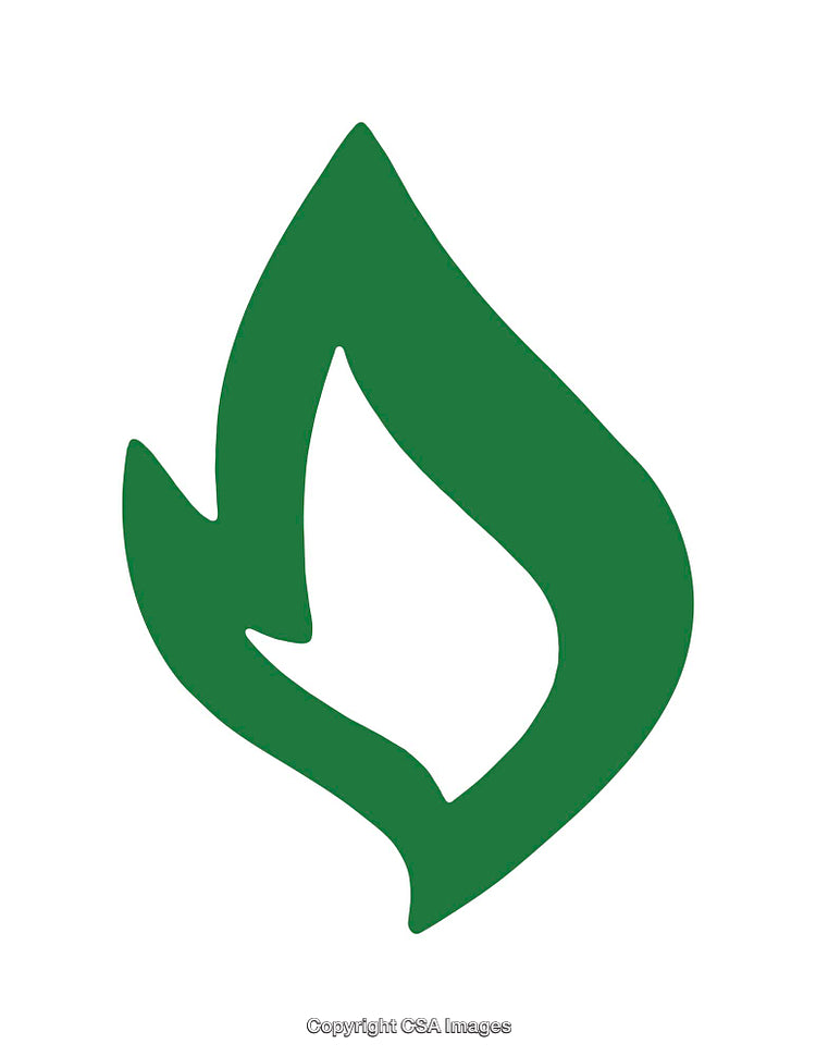 Green Leaf Flame Icon Representing Sustainability and Nature Concepts