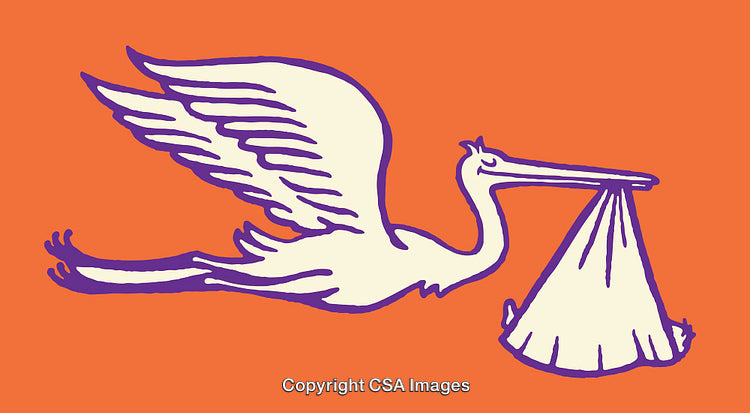 Colorful Stork Illustration Carrying a Bundle Symbolizing Newborn Delivery