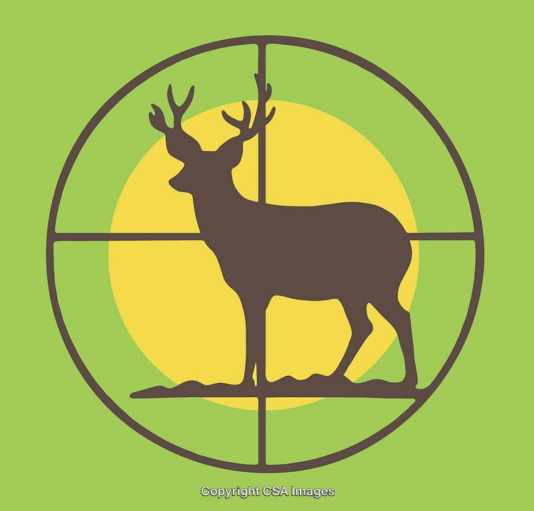 Flat Illustration of a Deer Silhouette with Symmetrical Art Motifs