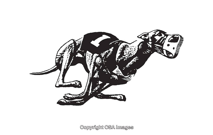 Black and White Line Art of a Racing Greyhound in Motion