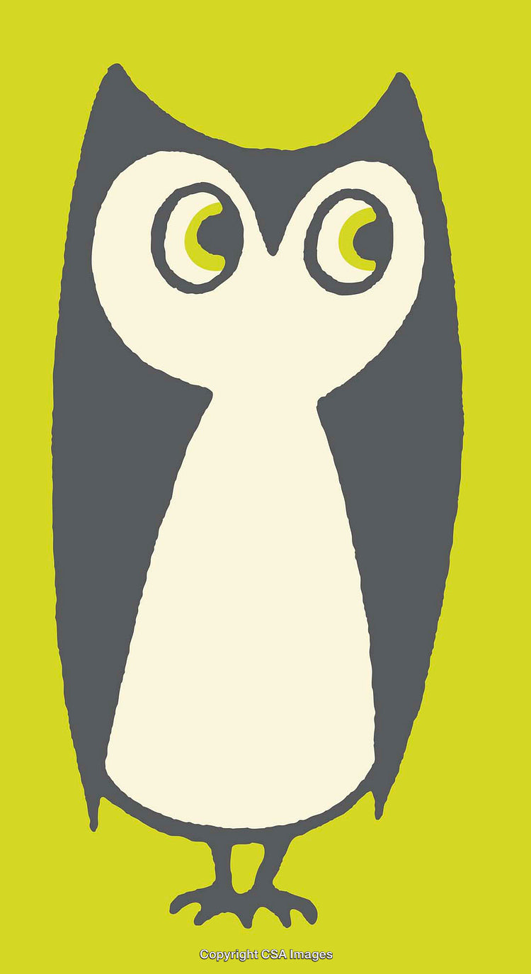 Stylized Owl Illustration with Minimalistic Design on Green Background