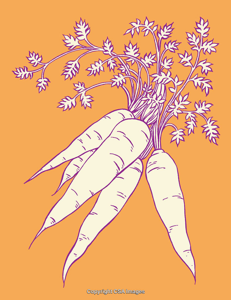 Bright Line Art Illustration of Carrots with Leaves on Orange Background