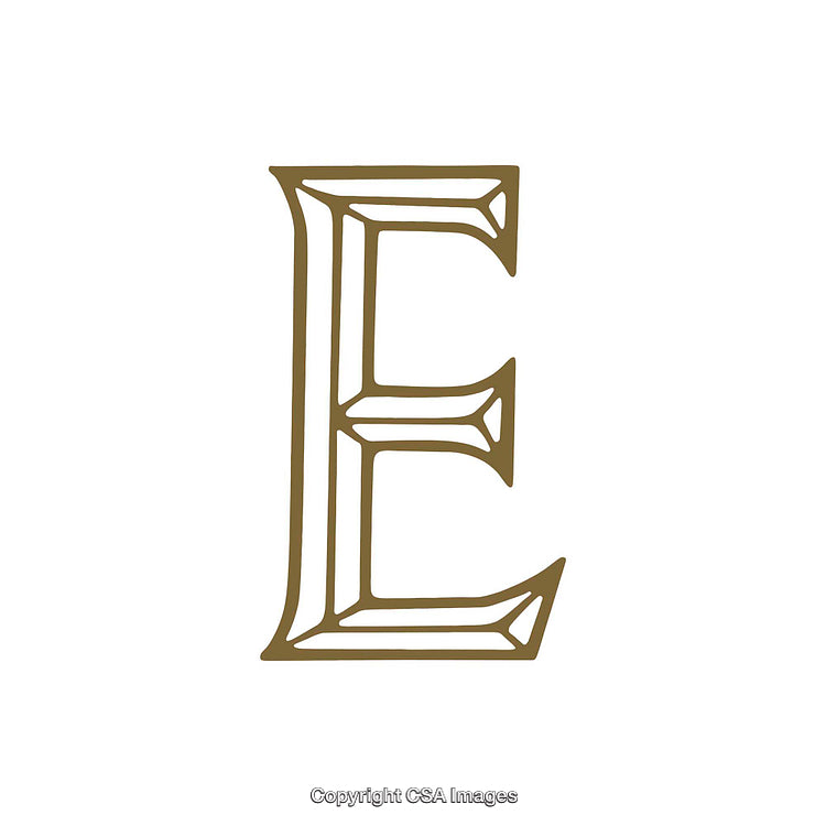 Elegant Decorative Letter E in Ornamental Font Style on White Background
