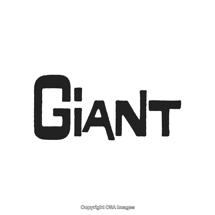 Minimalist Black and White Giant Typography with Bold Lettering
