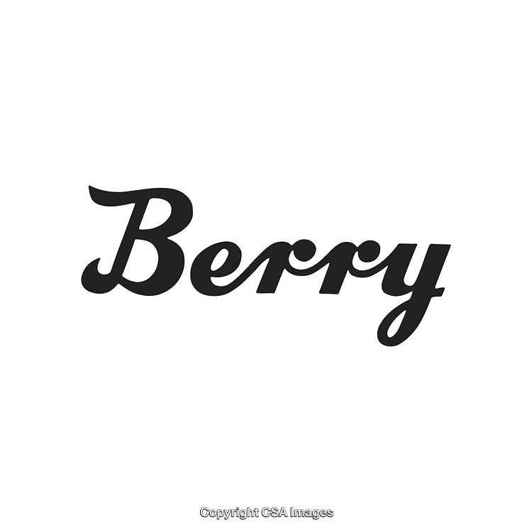 Stylish Typography Logo with Black 'Berry' Script on White Background