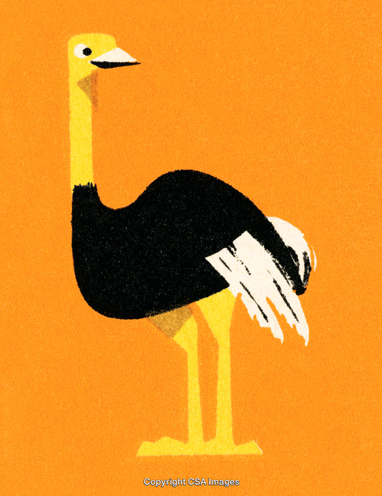 Abstract Illustration of a Standing Ostrich on an Orange Background