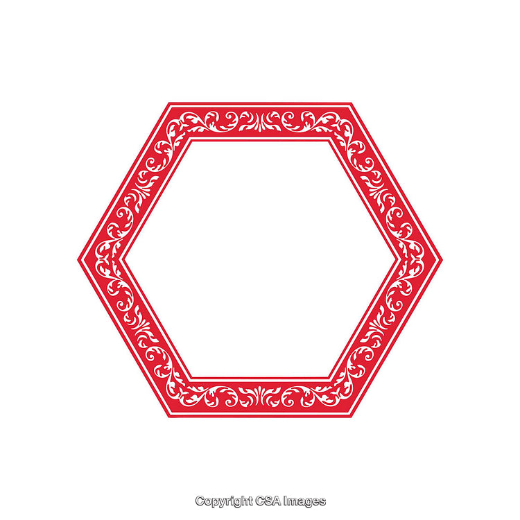 Red Hexagonal Border with Intricate Floral Patterns and White Center