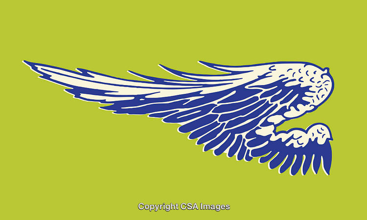 Blue Stylized Bird Wing Illustration on Green Background