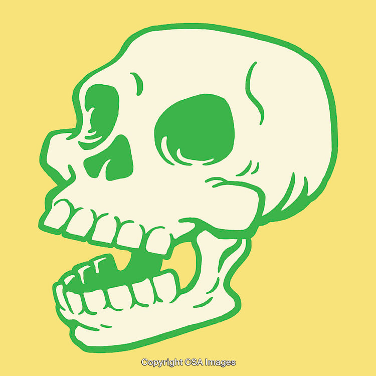 Green Line Art Skull Drawing on Yellow Background Illustration