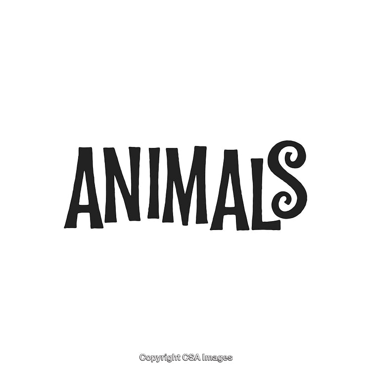 Stylized Black Text Illustration of the Word 'Animals' on a White Background