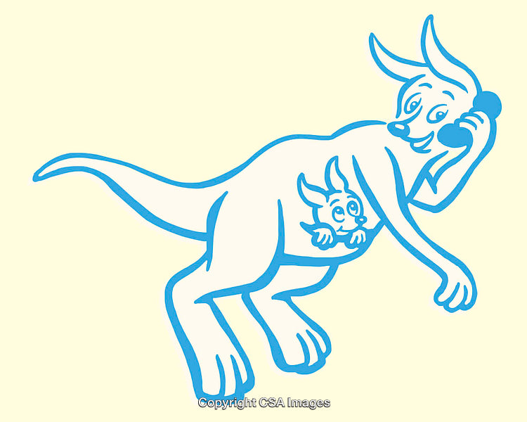 Illustration of Kangaroo and Joey Communicating in a Playful Style