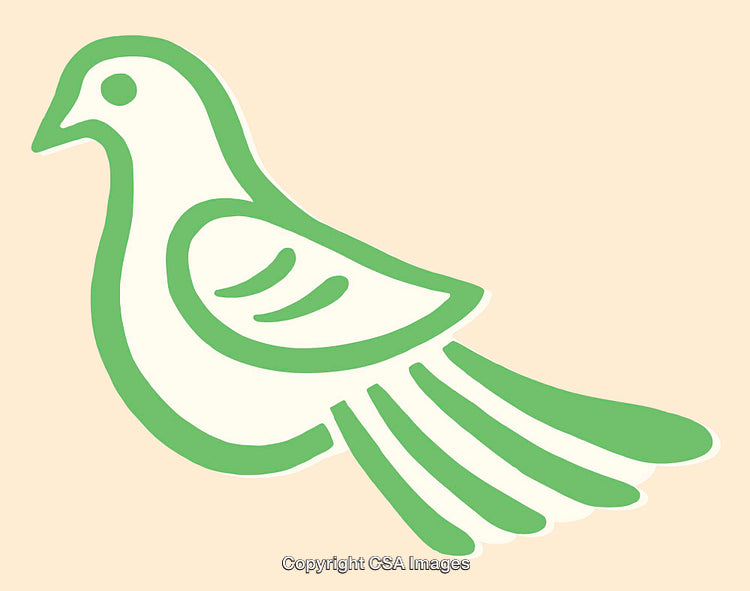 Colorful Line Art Design of a Stylized Bird in Simple Illustration Style